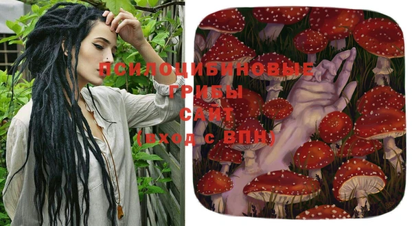 дмт Алзамай