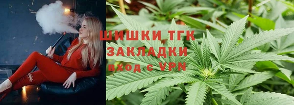 дмт Алзамай